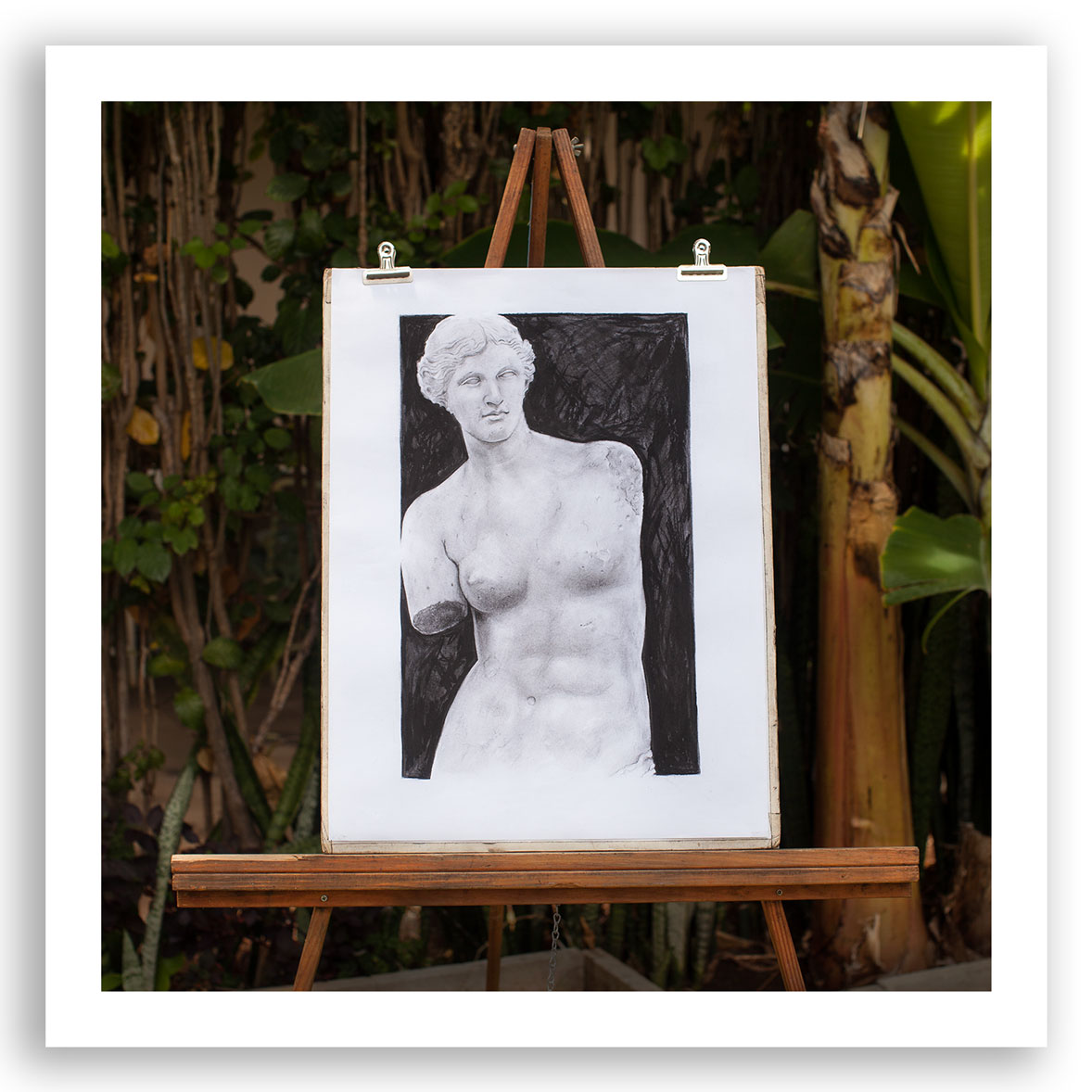 Charcoal Drawing of Venus de Milo by Michael Daly Artist, 2018. Charcoal on Paper.